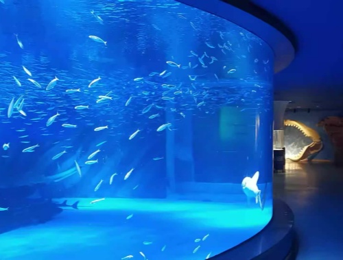 curved Acrylic aquarium