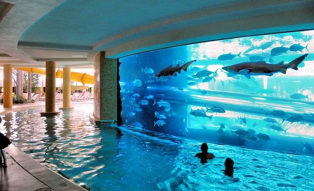 aquarium pool