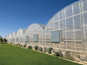 solar control polycarbonate greenhouse