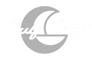 Partner Logo 2