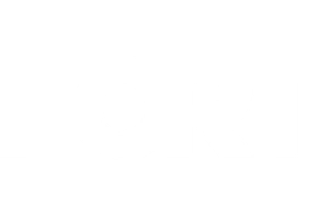 Partner Logo 3