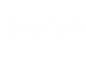 Partner Logo 4