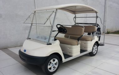 Golf Windshield