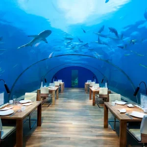 Underwater Aquarium Restaurant​