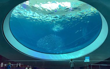 Acrylic aquarium