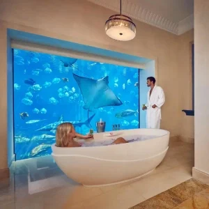 Aquarium Hotel​