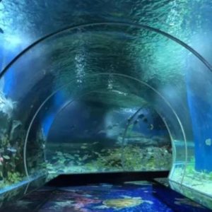 Aquarium Tunnel​