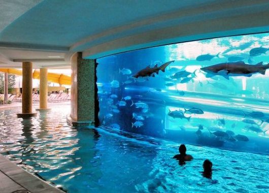 aquarium pool