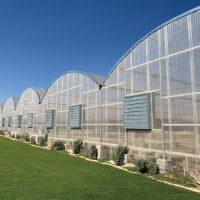 solar control polycarbonate greenhouse